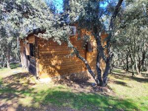 Zahrada ubytování Nuevo Ecolodge Cabañeros