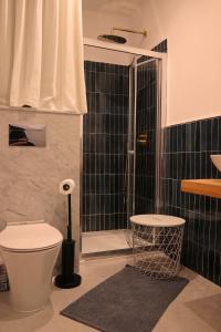 a bathroom with a shower and a toilet and a rug at XV Studio Apartments - Rabat, Malta in Rabat +19 photos