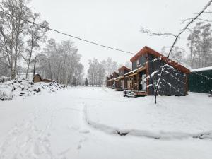 The Lazy Lynx - Frontier Village v zimě