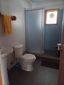 库拉考廷Centro turístico malalcahuello ltda的浴室里有马桶、淋浴和洗手池。