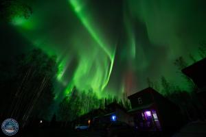 Fotografie z fotogalerie ubytování The Lazy Lynx - Frontier Village v destinaci North Pole