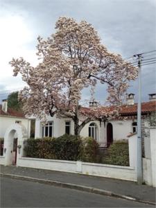 a white house with a tree in front of it at La Jarria in Jurançon