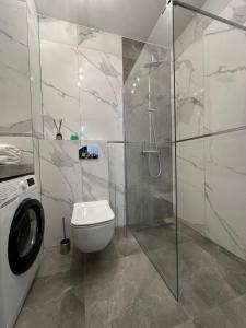 a bathroom with a toilet and a glass shower at Apartament nad Iławką 28 in Iława +3 photos
