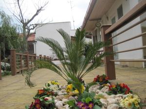 Zahrada ubytování Santos B&B