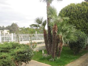 Zahrada ubytování Santos B&B