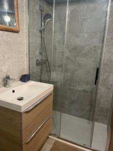 un baño con ducha y lavabo en LA BERGERIE Appartement 1, en Mont-de-Lans