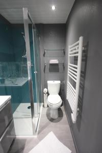 a bathroom with a toilet and a sink and a shower at Résidence Chez Gally in Les Ponts-de-Cé +4 photos