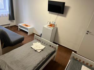 TV a/nebo společenská místnost v ubytování Pension Hájek