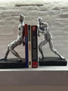 Biblioteca en el apartamento