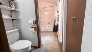 a bathroom with a toilet and a bath tub at Crystal Run in Sandpoint +26 photos