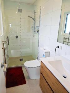 基督城LilyのHome Elegant Retreat near Riccarton Mall的带淋浴、马桶和水槽的浴室