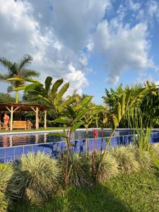 The swimming pool at or close to Tukawa