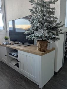 TV a/nebo společenská místnost v ubytování Ski-In, ski-out Thyon