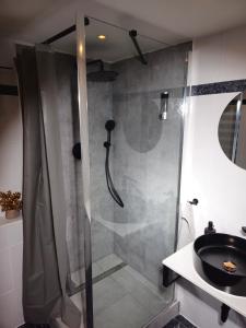a bathroom with a shower and a sink at Apartments Mitte Messe und Zentrum Marterlach in Nürnberg +8 photos
