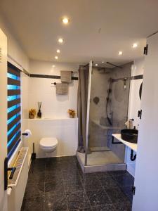 a bathroom with a shower and a toilet and a sink at Apartments Mitte Messe und Zentrum Marterlach in Nürnberg