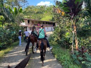 Horseback riding at a hosteleket or nearby