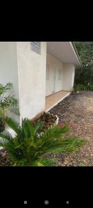 a house with a plant in front of a building at Pousada da vila in Abelardo Luz +6 photos