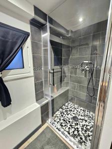 a bathroom with a shower with a glass door at Charmant studio 30m2 in Clermont-Ferrand +5 photos