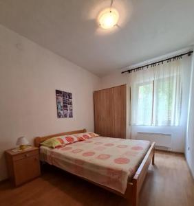 Postel nebo postele na pokoji v ubytování Apartment Miljana