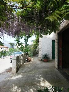 Zahrada ubytování Apartment Miljana