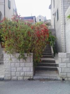 Fotografie z fotogalerie ubytování Apartment Miljana v destinaci Postira