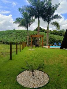 een palmboom in het midden van een grasveld bij Chalé Bem-Estar in Massaranduba +18 foto's