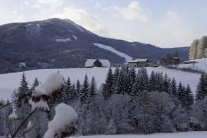 Príroda v okolí apartmánu