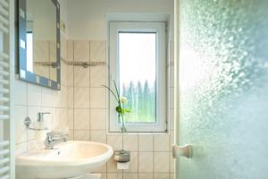 a bathroom with a sink and a window at Ferienwohnungen Müller in Gager +51 photos