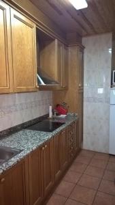 a kitchen with wooden cabinets and a sink and a refrigerator at La Perxada de Besolí in Areu