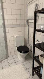 ein Badezimmer mit einem WC und einem schwarzen Sitz in der Unterkunft Tågaborg in Helsingborg