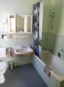 La salle de bains est pourvue d'un lavabo, de toilettes et d'une douche. dans l'établissement Moocks Hotel, à Altenau