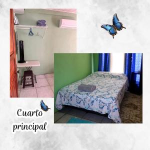 a bedroom with a bed with butterfly decorations on the wall at Morpho Casa Vacacional in Fortuna