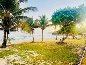 Anse-BertrandにあるCocon des îlesのヤシの木と海のあるビーチ