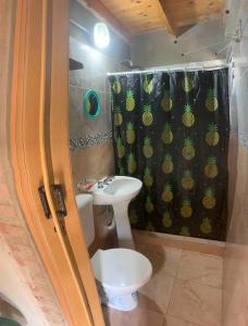 圣罗莎卡拉穆奇塔县Bauha Mini Apart的带马桶和浴帘的浴室