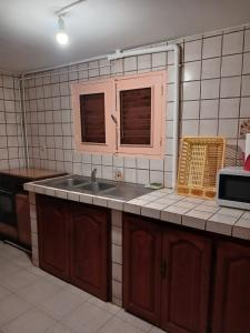 Kuchyň nebo kuchyňský kout v ubytování Villa hibiscus
