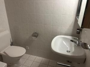 a bathroom with a toilet and a sink at Apartment in Veysonnaz with balcony in Veysonnaz +24 photos