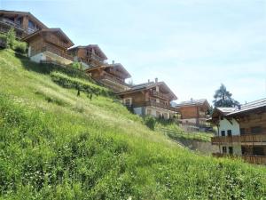 a group of wooden houses on a grassy hill at Pleasant apartment in Versonnaz in Veysonnaz