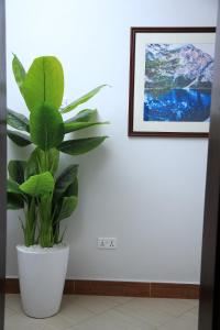 Gallery image of Buwate Hill view Luxury Suites in Kampala