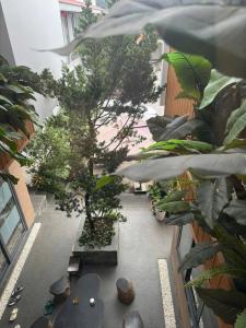 Zahrada ubytování Nam Anh Hotel