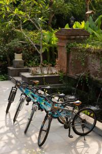 Zahrada ubytování Element Bali Ubud