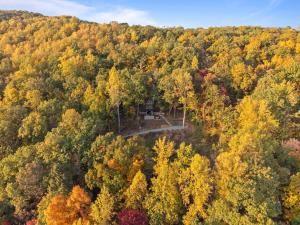 an aerial view of a cabin in the middle of a forest at CloudPointe Retreat Treehouse in Stanardsville