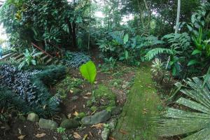 Φωτογραφία από το άλμπουμ του Loft Arenal, Pool & Hot Springs στη Φορτούνα