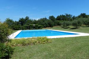 ein Swimmingpool mitten im Garten in der Unterkunft Arriga Alta in Lonato
