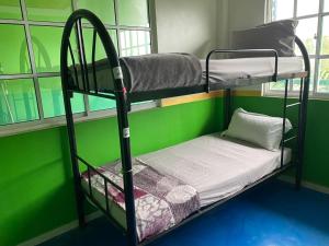2 literas en una habitación con una pared verde en Zackry Guesthouse, en Pantai Cenang 12 fotos más