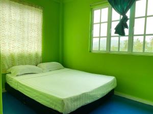 Cama en habitación verde con ventana en Zackry Guesthouse, en Pantai Cenang