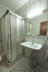 La salle de bains est pourvue d'un lavabo et d'une douche. dans l'établissement Hotel Weidenau, à Bad Orb