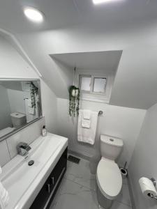 a white bathroom with a toilet and a sink at Niagara Escape Loft in St. Catharines