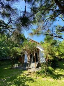 Fotografie z fotogalerie ubytování Nhà gác mái ven rừng gần Sân bay Nội Bài - Biệt thự con công v destinaci Sóc Sơn