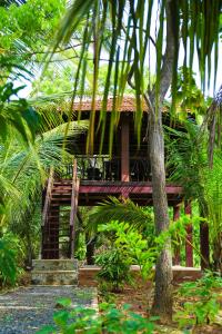 Vrt pred nastanitvijo Go Yala Hostel
