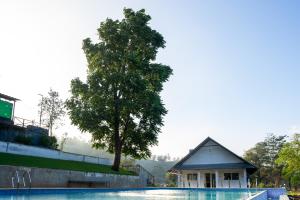 The swimming pool at or close to jungle view resort